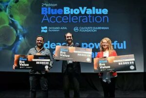 Biosolvit, startup que recolhe petróleo derramado, ganha prêmio em Portugal